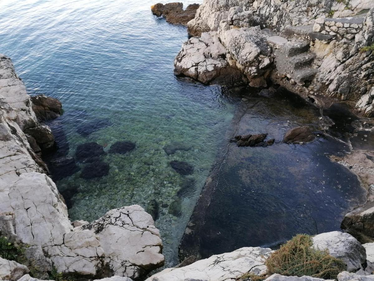 Apartment Basic Petrcane Εξωτερικό φωτογραφία