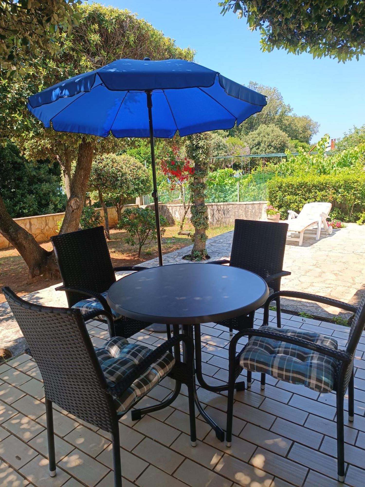 Apartment Basic Petrcane Εξωτερικό φωτογραφία