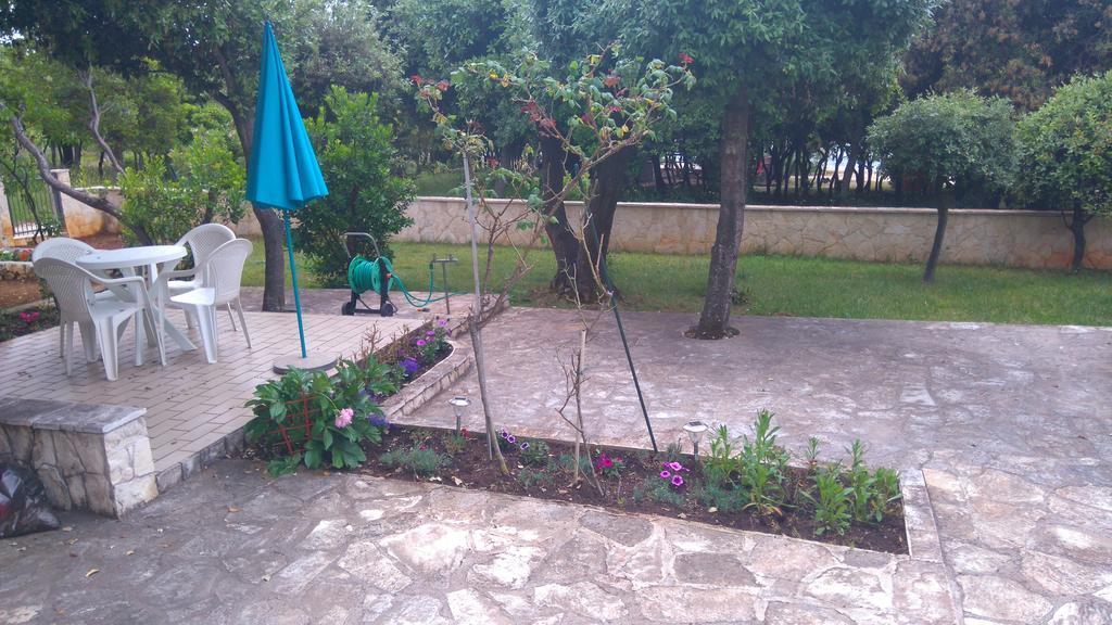 Apartment Basic Petrcane Εξωτερικό φωτογραφία