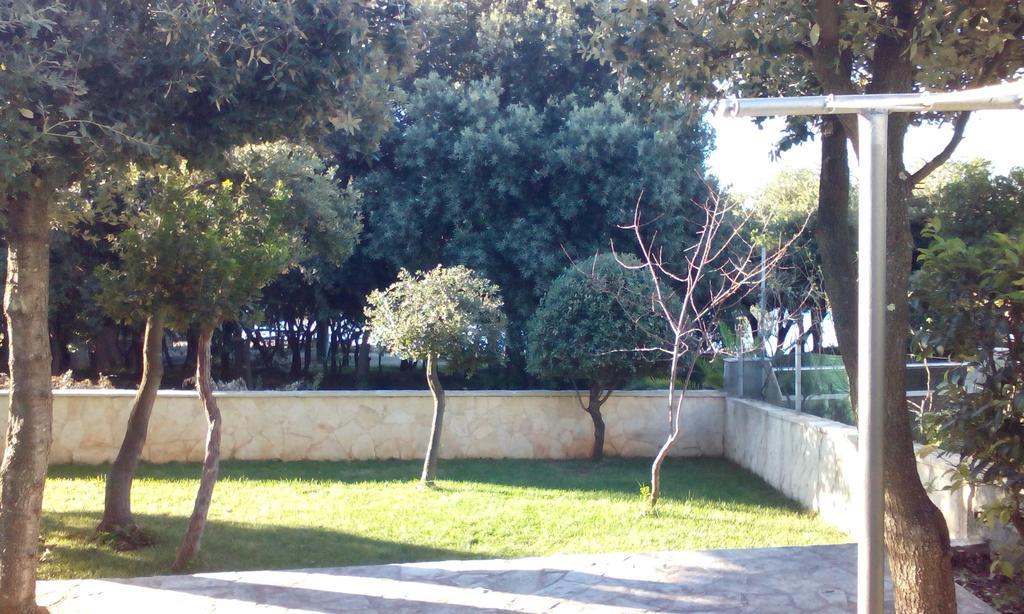 Apartment Basic Petrcane Εξωτερικό φωτογραφία