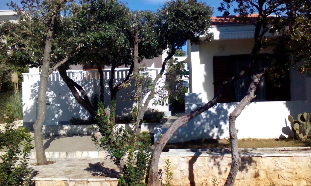 Apartment Basic Petrcane Εξωτερικό φωτογραφία