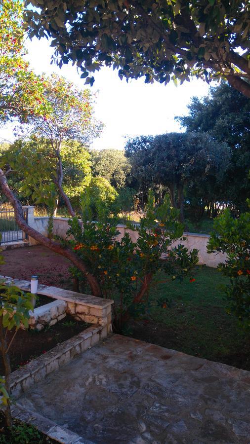 Apartment Basic Petrcane Εξωτερικό φωτογραφία